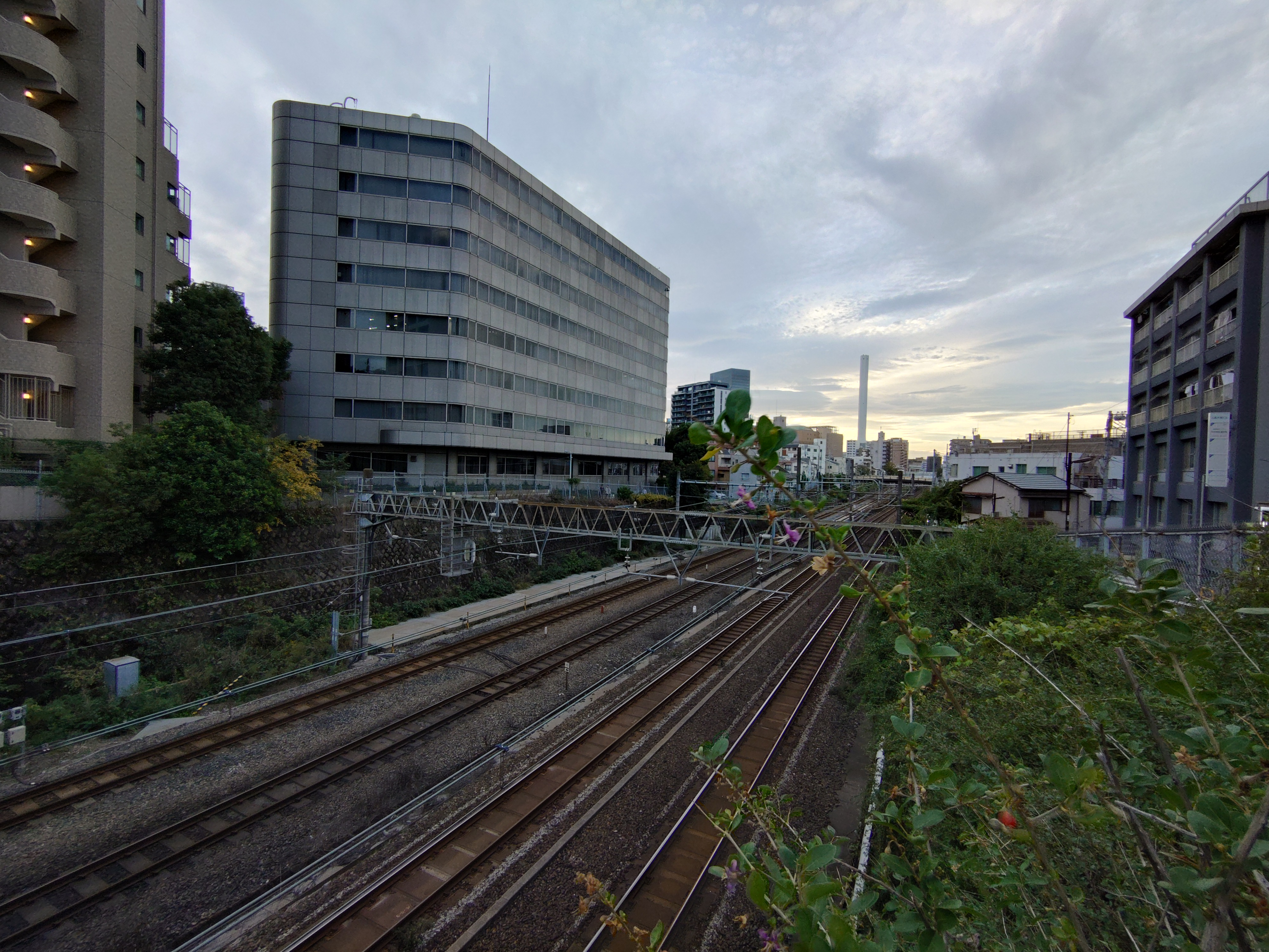 Xperia 10 VIIの超広角（夕方）