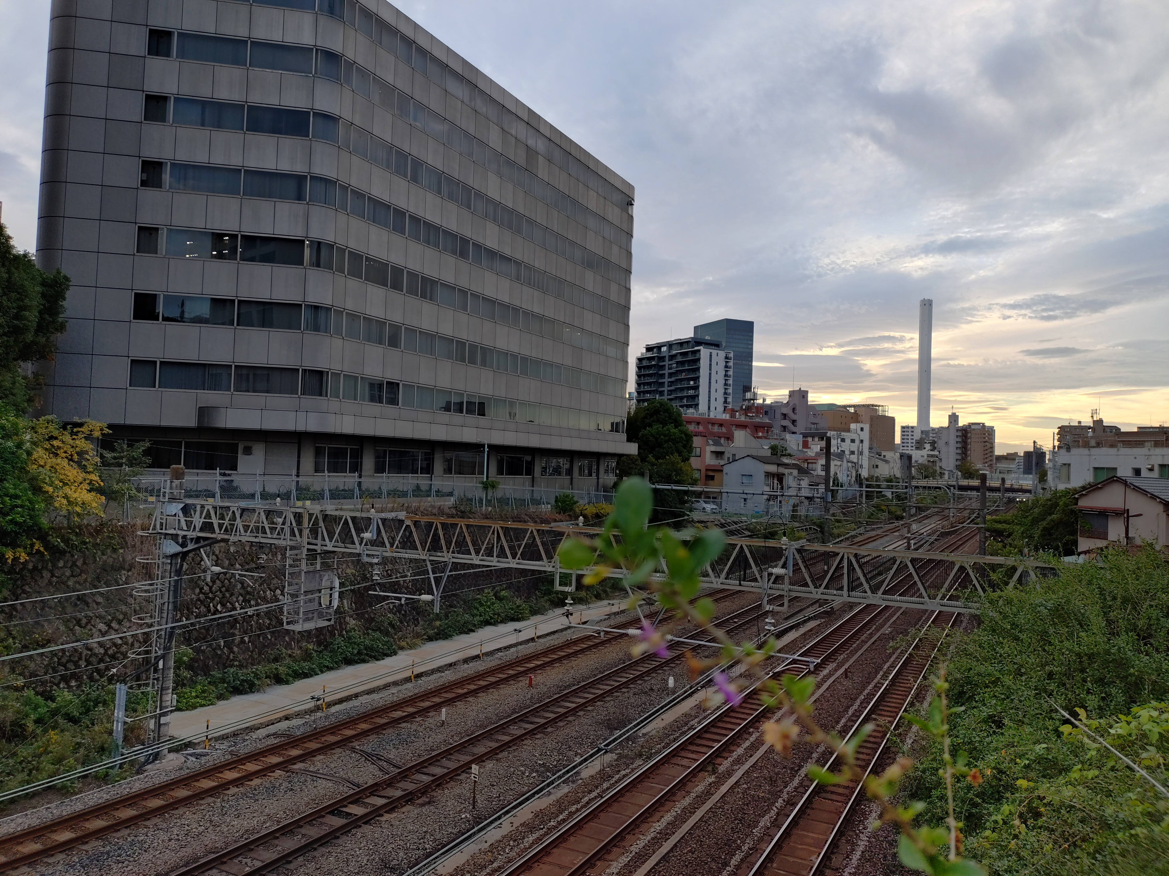 Xperia 10 VIの広角（夕方）