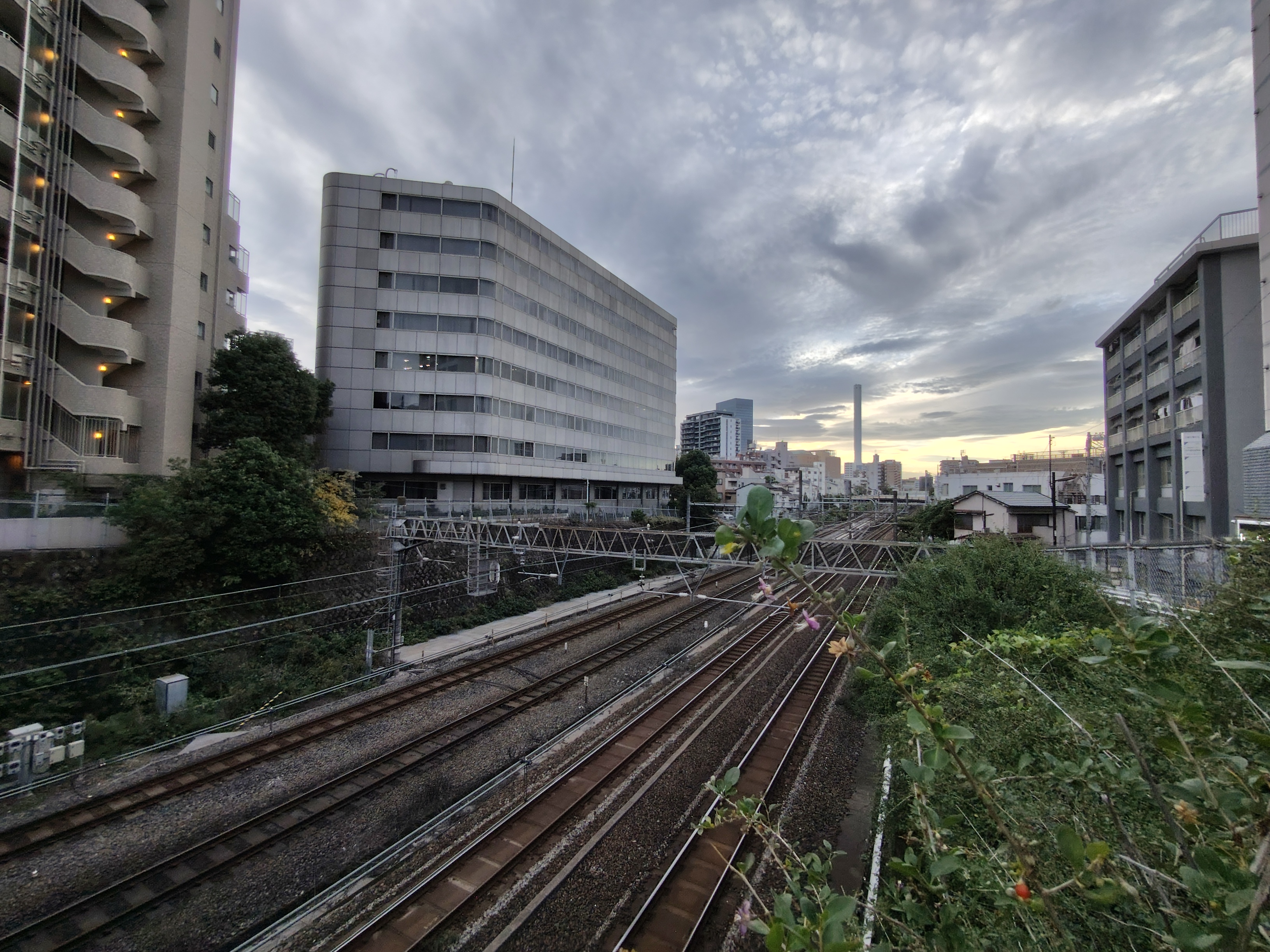 AQUOS sense8の超広角（夕方）